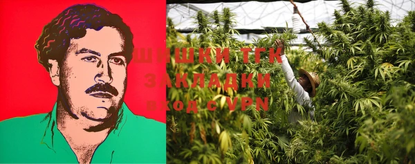 PSILOCYBIN Беломорск
