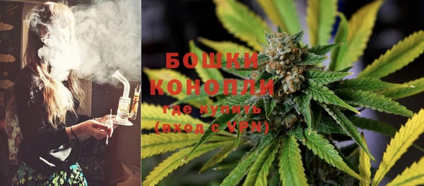 PSILOCYBIN Беломорск