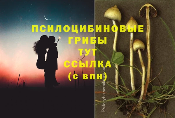 синтетический гашиш Белокуриха