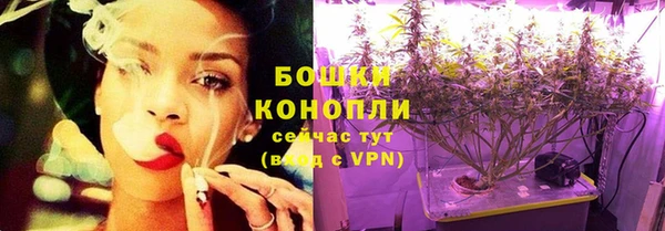PSILOCYBIN Беломорск