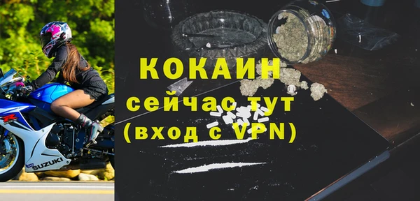 гидра Слюдянка