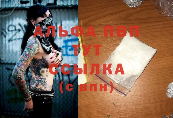 PSILOCYBIN Беломорск