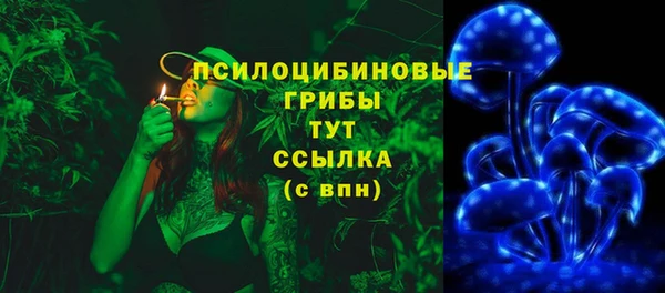 PSILOCYBIN Беломорск